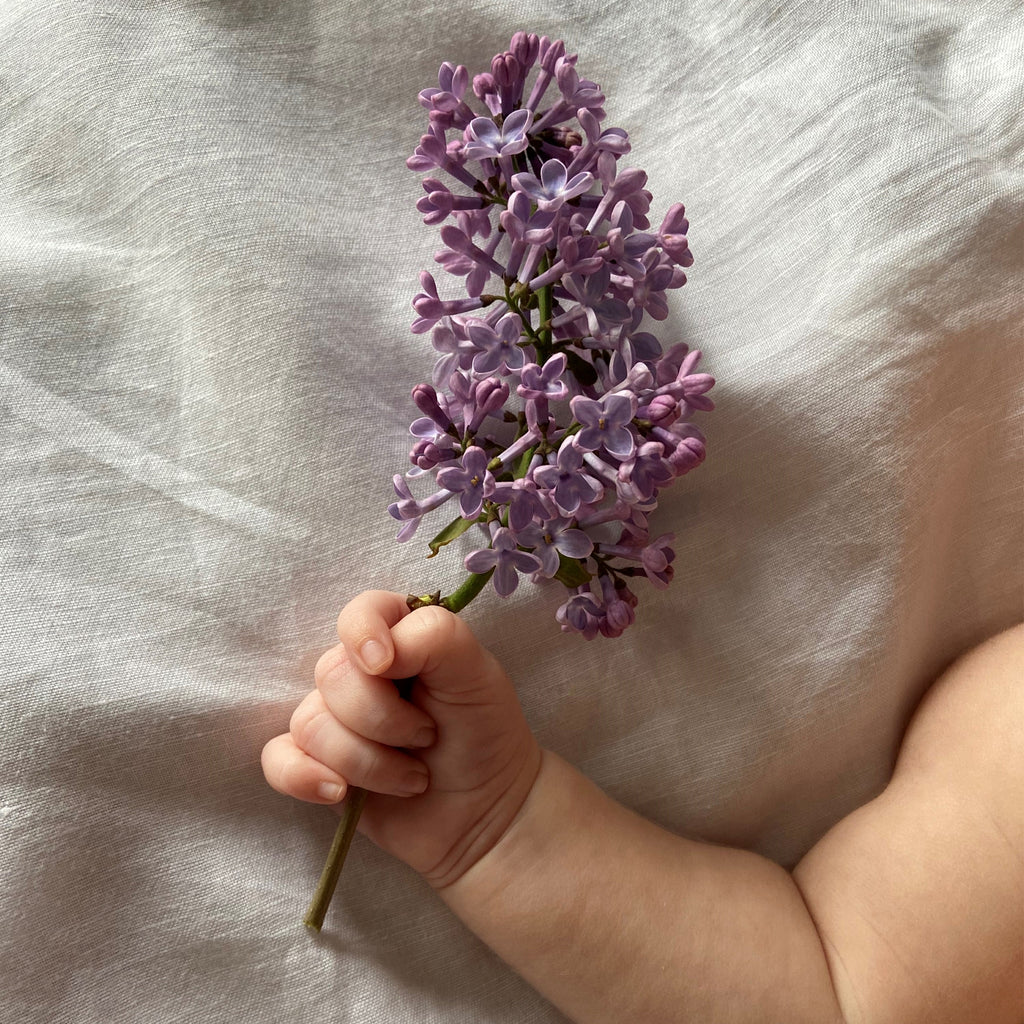 THE BEST TYPES OF FLOWERS TO SEND FOR A NEW BABY ARRIVAL